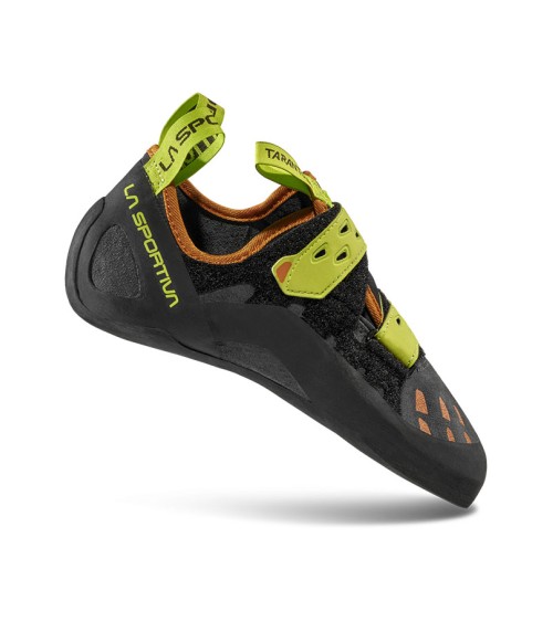 TARANTULA Carbon-Lime Punch