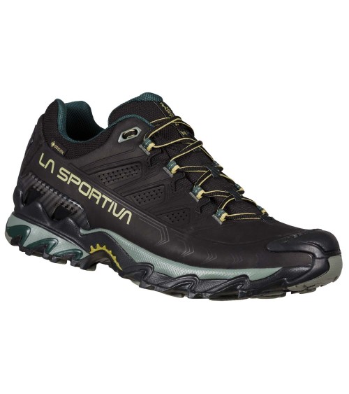 ULTRA RAPTOR II LEATHER GTX Black-Cedar