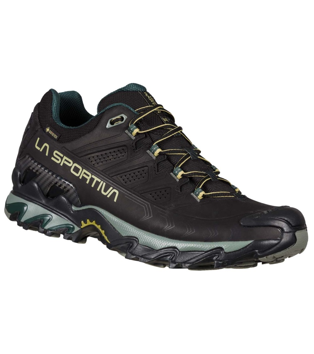 ULTRA RAPTOR II LEATHER GTX Black-Cedar