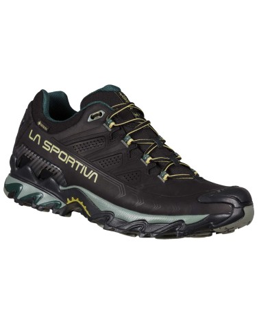 ULTRA RAPTOR II LEATHER GTX Black-Cedar