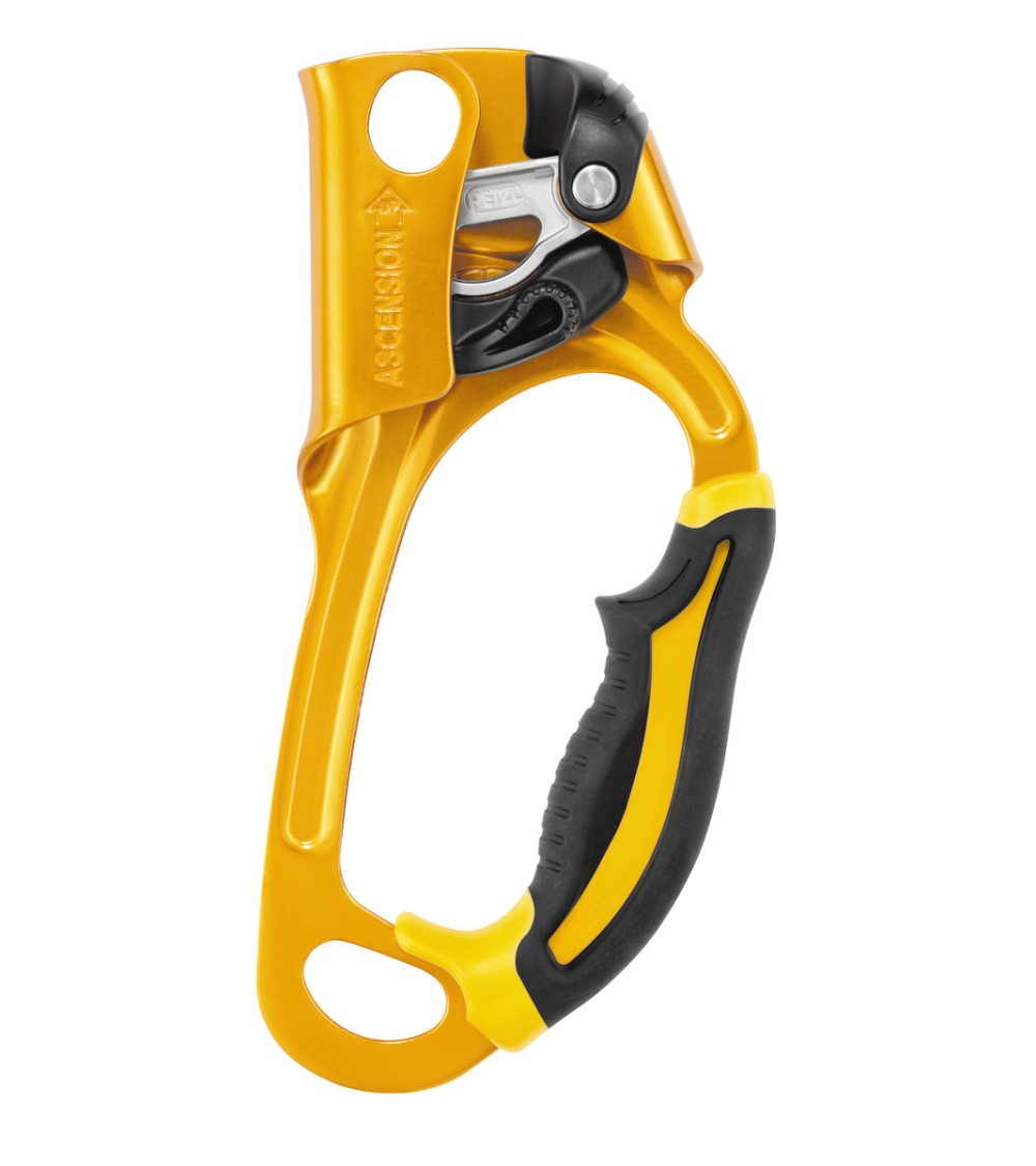 ASCENSION DX Giallo
